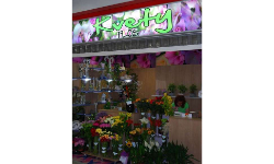 Potlač svetelnej tabule – reklamná fólia